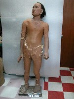 藏品(人物塑像)的圖片